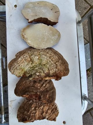 콩20557님의 자유주제 · 자유게시판 작성글 사진