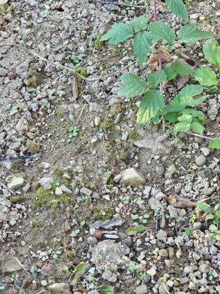 청산거사님의 자유주제 · 자유게시판 작성글 사진