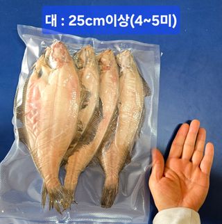 농수사님의 자유주제 · 자유게시판 작성글 사진