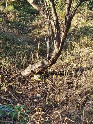 청산거사님의 자유주제 · 자유게시판 작성글 사진