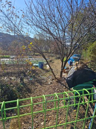 청산거사님의 자유주제 · 자유게시판 작성글 사진