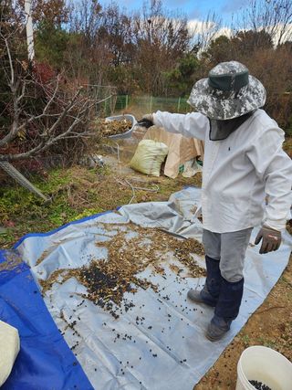 장석오님의 자유주제 · 자유게시판 작성글 사진