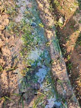 박정석님의 자유주제 · 자유게시판 작성글 사진