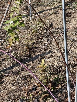 청산거사님의 자유주제 · 자유게시판 작성글 사진