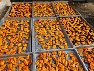 대봉매실 인생이막님의 작성글 사진