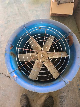 낙엽교목류6964님의 자유주제 · 자유게시판 작성글 사진