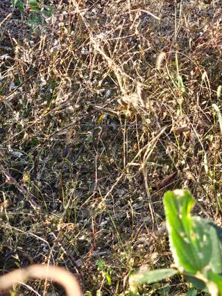 청산거사님의 자유주제 · 자유게시판 작성글 사진