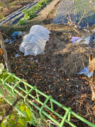 청산거사님의 자유주제 · 자유게시판 작성글 사진