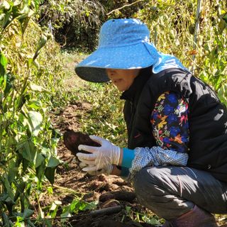 김선순(공룡자색마)님의 작성글 사진