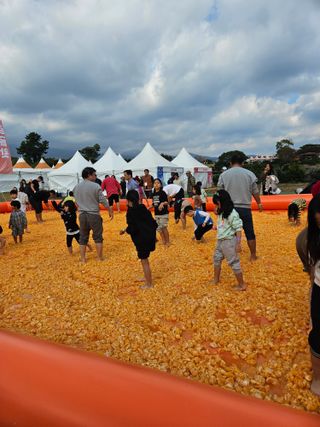 제주 지안이네농장님의 자유주제 · 자유게시판 작성글 사진