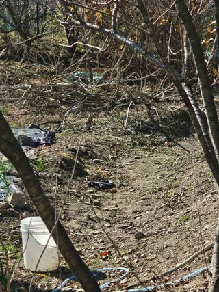 청산거사님의 자유주제 · 자유게시판 작성글 사진