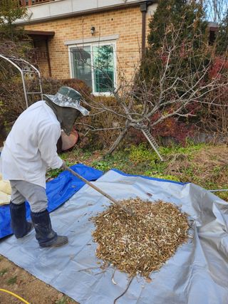 장석오님의 자유주제 · 자유게시판 작성글 사진