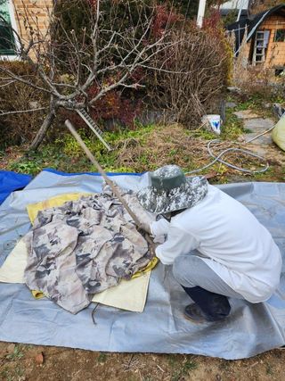 장석오님의 자유주제 · 자유게시판 작성글 사진