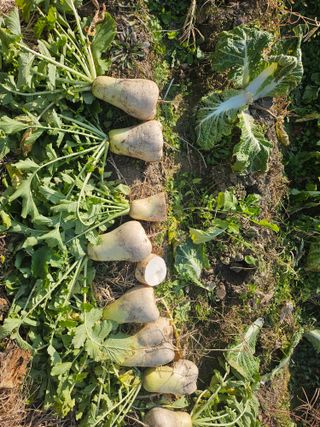 김강호님의 자유주제 · 자유게시판 작성글 사진