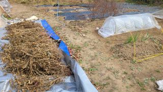 장석오님의 자유주제 · 자유게시판 작성글 사진