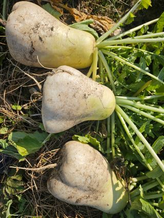 김강호님의 자유주제 · 자유게시판 작성글 사진