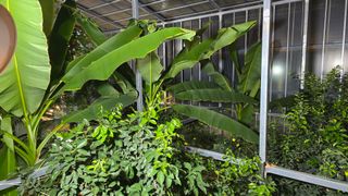 이순철님의 작성글 사진