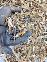 팜모닝 자유주제·자유게시판 게시글 이미지