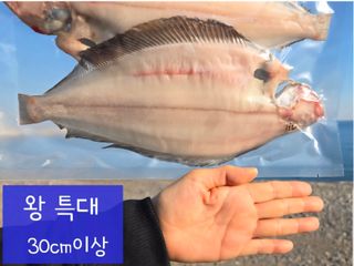 농수사님의 자유주제 · 자유게시판 작성글 사진