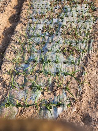 박정석님의 자유주제 · 자유게시판 작성글 사진