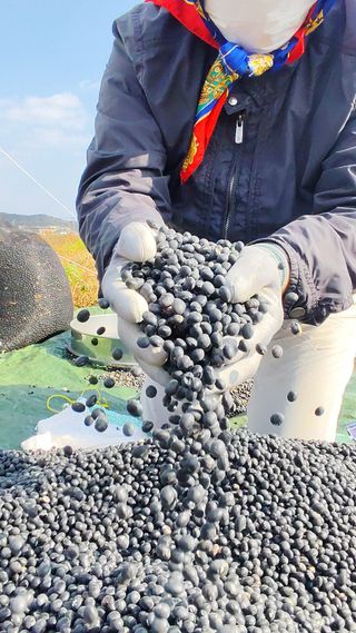 윤충기님의 자유주제 · 자유게시판 작성글 사진