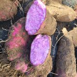 팜모닝 · 게시글 이미지