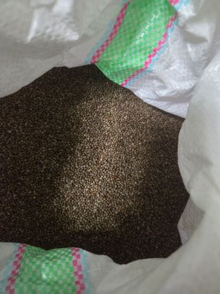 대추님의 자유주제 · 자유게시판 작성글 사진