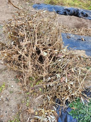 장석오님의 자유주제 · 자유게시판 작성글 사진