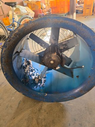 낙엽교목류6964님의 자유주제 · 자유게시판 작성글 사진