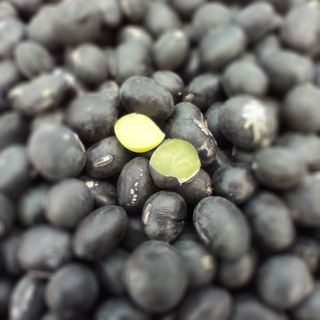 윤충기님의 자유주제 · 자유게시판 작성글 사진