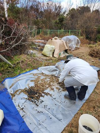 장석오님의 자유주제 · 자유게시판 작성글 사진