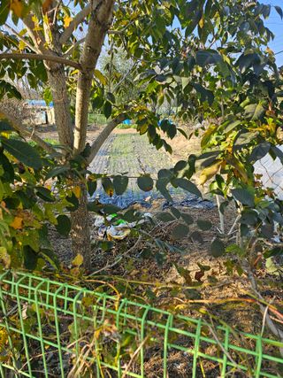 청산거사님의 자유주제 · 자유게시판 작성글 사진