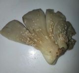 팜모닝 자유주제·자유게시판 게시글 이미지