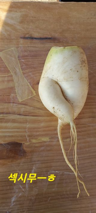 김대현(청솔)님의 자유주제 · 자유게시판 작성글 사진