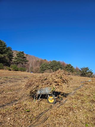 홍천산채농원님의 자유주제 · 자유게시판 작성글 사진