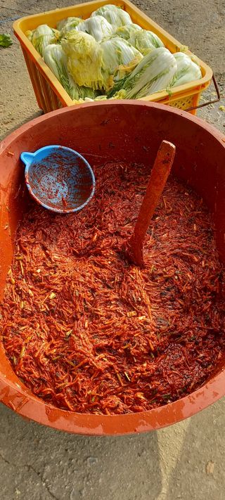 김대현(청솔)님의 자유주제 · 자유게시판 작성글 사진