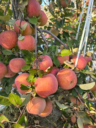 최동구님의 자유주제 · 자유게시판 작성글 사진