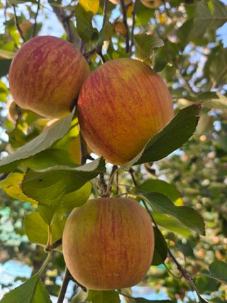 최동구님의 자유주제 · 자유게시판 작성글 사진