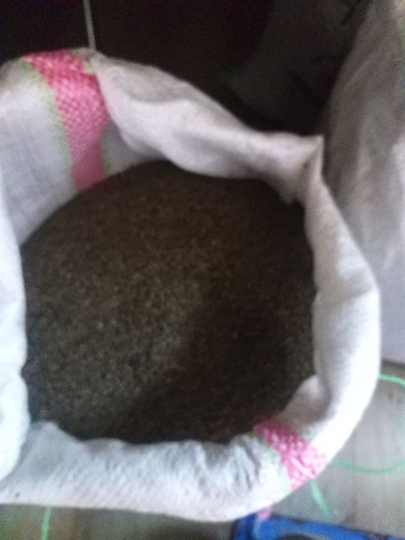 장터 상품 [들깨 ] 썸네일