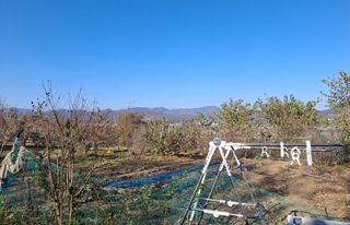 철남 김희곤님의 자유주제 · 자유게시판 작성글 사진