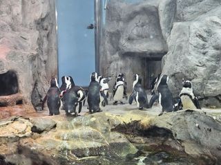 김영진(전남영광)님의 자유주제 · 자유게시판 작성글 사진