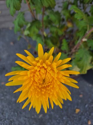 무형교회목사 안영진님의 작성글 사진