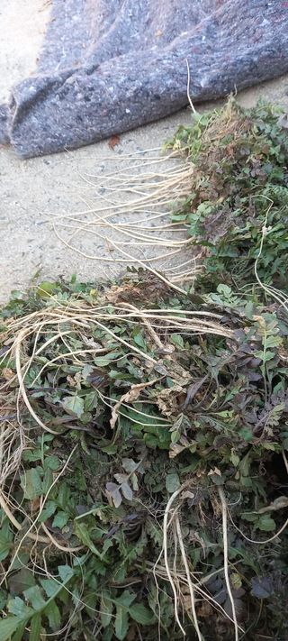 김대현(청솔)님의 자유주제 · 자유게시판 작성글 사진