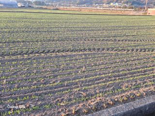 사천시향촌동 돼지띠님의 자유주제 · 자유게시판 작성글 사진