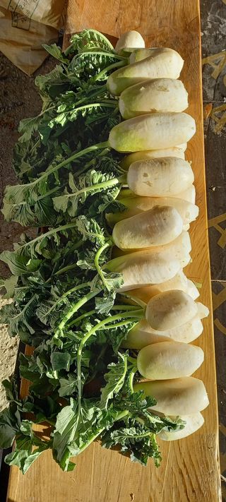 김대현(청솔)님의 자유주제 · 자유게시판 작성글 사진