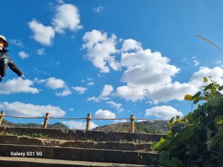 김선오6251556님의 자유주제 · 자유게시판 작성글 사진