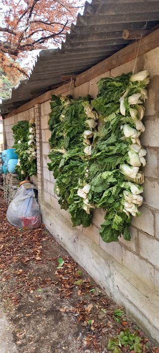 김대현(청솔)님의 자유주제 · 자유게시판 작성글 사진