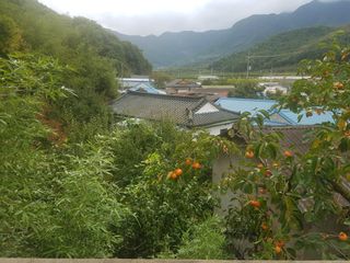 윤원길 님의 자유주제 · 자유게시판 작성글 사진