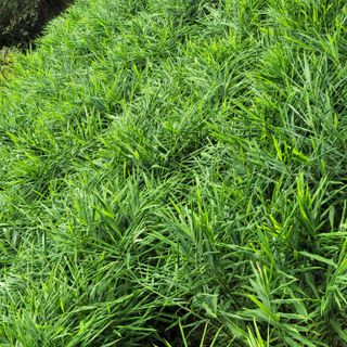 김선순(공룡자색마)님의 작성글 사진