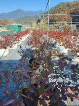 팜모닝 자유주제·자유게시판 게시글 이미지